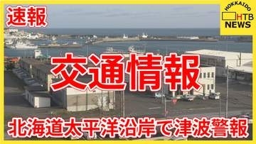 【速報】フェリーの運航状況　沖合に避難も