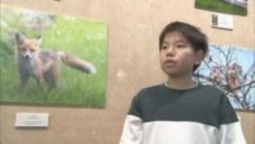 北海道の動物たちがイキイキと…小学5年生の写真家が初の個展　SNSフォロワー1万6000人　旭川市
