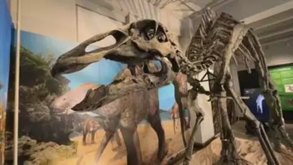 北大が全身骨格を再現！むかわ町で見つかった新種の恐竜「カムイサウルス」一般公開へ