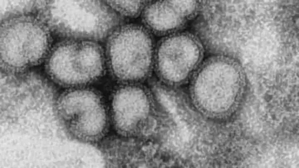 今シーズン2回目　札幌市、インフルエンザ警報を発表　市内の小中学校のべ26校で学年・学級閉鎖