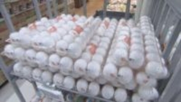 「卵」の価格高止まり　かつての"物価の優等生"　鳥インフルエンザで品薄に