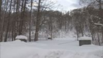 "ふきだし湧水"で知られる京極町「乱開発防止と水源を守る」　民有地を1億1600万円で購入決定