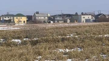 「住民との合意形成が不十分」根室市、最大規模のメガソーラー建設計画を受理せず
