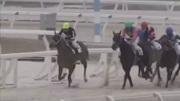 来月15日開幕！ホッカイドウ競馬でデビュー目指す新馬の能力検査　　日高・門別競馬場
