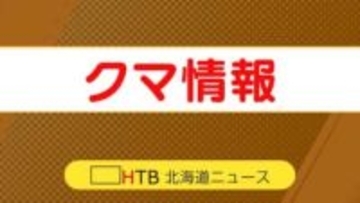 札幌・真駒内公園近くの豊平川の川岸でクマのような黒っぽい動物2頭の目撃情報　痕跡は見つからず