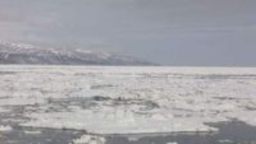 海明け毛ガニに異変？オホーツク海「史上最小流氷」が招く温暖化の悪循環と漁業への影響、最新調査で探る