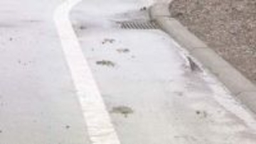 「怖いね」市街地に点々とクマのフンや足跡…湧別町　未明に体長約1.5mのクマ目撃