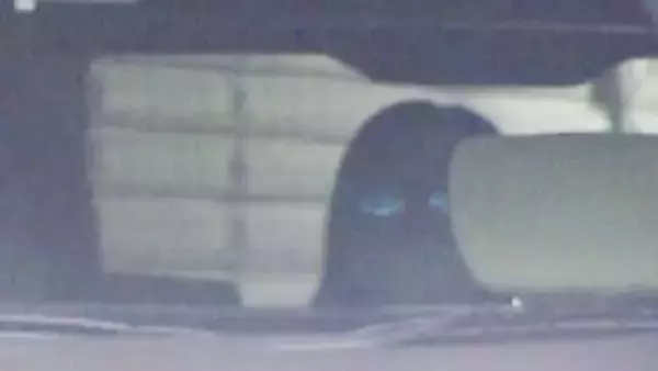 札幌すすきのホテル殺人、母親弁護側に続き札幌高検も最高裁へ上告 控訴審では懲役6カ月,執行猶予2年の判決