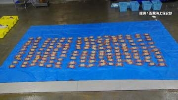 明かりを消して水揚げしているのを海保が発見　北海道森町で毛ガニ160匹密漁した疑い 漁師親子を現行犯逮捕