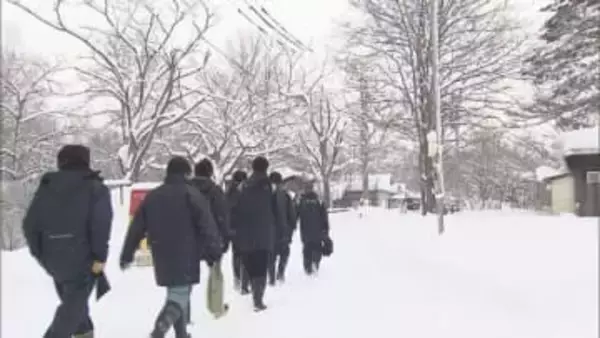 ノースサファリに市が立ち入り　 無許可の違法建築122棟から38棟に減少も、動物246頭の移動計画が白紙に