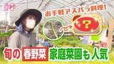 「【オシプラ】旬を迎えた春野菜 おいしいアスパラの見分け方とお手軽料理とは？ 家計を助ける家庭菜園も人気」の画像1