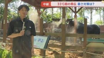 【中継】「百獣の王も動けない…」33度超の帯広で今年一番の猛暑　動物たちの暑さ対策は？