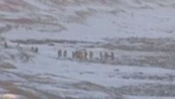 オホーツク・小清水町の海岸で、流氷に乗った男性2人が一時流される　救助され意識あり