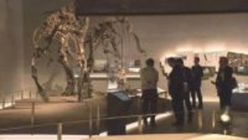 「復興のシンボルが見たかった」石破前総理も参加　むかわ町穂別恐竜博物館オープン　日帰り温泉も併設