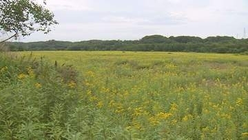 【メガソーラー問題】住民反対相次ぎ事業計画が白紙に　苫小牧市、事業者の撤退受け事業計画中止へ