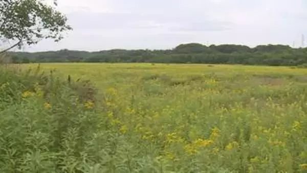 【メガソーラー問題】住民反対相次ぎ事業計画が白紙に　苫小牧市、事業者の撤退受け事業計画中止へ