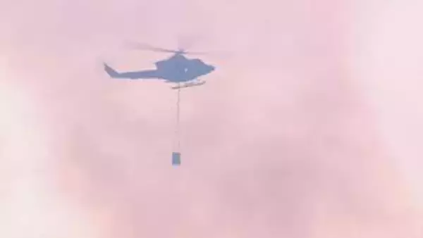 池田町　富岡で林野火災　広範囲に草木が燃えて住宅にも延焼　2人がけが