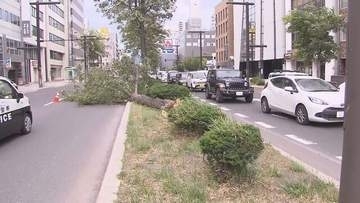 札幌の中心部 倒木が道路ふさぐ 最大瞬間風速えりも岬で25.2メートル 札幌で21.0メートル