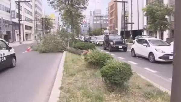 札幌の中心部 倒木が道路ふさぐ 最大瞬間風速えりも岬で25.2メートル 札幌で21.0メートル