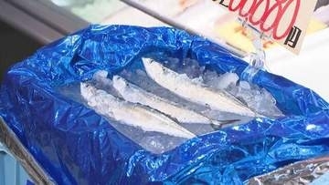 今年の初サンマが釧路港に水揚げ　「モノは良い」　そして初物は1匹8万8880円の値が！　そのお味は？