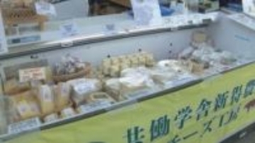 北海道産の牛乳を使った道内各地のチーズやスイーツなど勢ぞろい「ミルク＆ナチュラルチーズフェア」　帯広