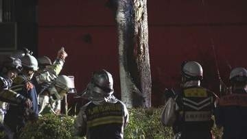 札幌市白石区の団地で約5メートルの立木が炎上　放火の疑いも視野に捜査