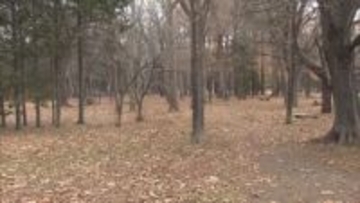閉鎖解除されたのに・・・　円山公園でまたクマの目撃情報が寄せられる　札幌市が痕跡調査へ