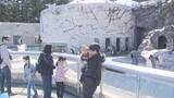 「旭山動物園、前代未聞の事件の中、夏の営業を2日遅れでオープン　観光の目玉に広がるイメージダウンの懸念」の画像1