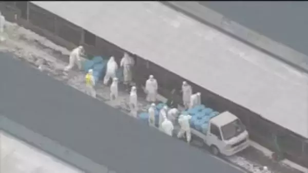 由仁町にある養鶏場　死んだニワトリが　高病原性鳥インフルエンザ感染の疑い　約6300羽を殺処分