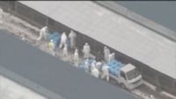 由仁町にある養鶏場　死んだニワトリが　高病原性鳥インフルエンザ感染の疑い　約6300羽を殺処分