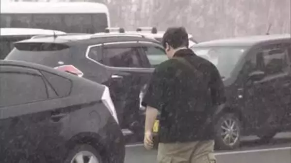 季節外れの雪と寒さの中、札幌・新川さくら並木や新ひだか町・二十間道路など道内各地でサクラが見頃に