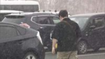 季節外れの雪と寒さの中、札幌・新川さくら並木や新ひだか町・二十間道路など道内各地で桜が見頃に