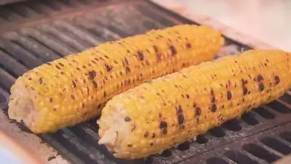 香ばしさに誘われて「甘い！」タレが進化　名物「とうきびワゴン」登場　さっぽろ大通公園