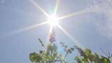 「5月なのに「夏の暑さ」 道東ですでに27℃超え、札幌も7月上旬並みの気温に」の画像1