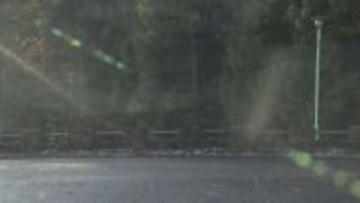 北海道神宮付近の路上でクマのような動物を目撃　第三鳥居前の駐車場近くを歩く姿　近くの小中学校が休校