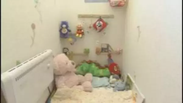 当別の民間「赤ちゃんポスト」閉鎖へ 公的支援普及受け運営者が決断 相談4000件超　孤立出産など15人預かる