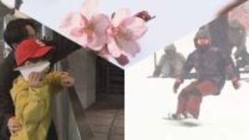 北海道、桜前線ゴールで春到来も…GW折り返し、道北・オホーツク海側歌登で10年ぶり5月の雪