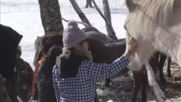 北大の研究牧場で放牧中の「道産子」と地元小学生が触れ合う　ほぼ野生の状態の馬と至近距離で　新ひだか町
