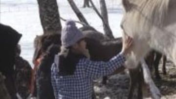 北大の研究牧場で放牧中の「道産子」と地元小学生が触れ合う　ほぼ野生の状態の馬と至近距離で　新ひだか町