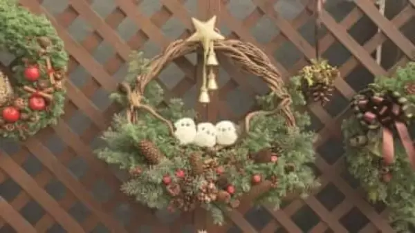 シマエナガが並んだリースなど50点を展示　札幌市北区・百合が原公園でクリスマスディスプレイ展