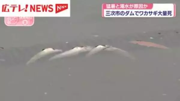 １万匹超のワカサギが大量死　広島・三次のダム　猛暑と渇水原因か
