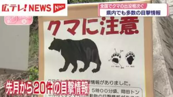 広島県内でもクマの目撃情報相次ぐ　外出時の注意を呼びかけ＆住宅での対策