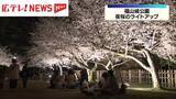 「広島・福山城公園で夜桜のライトアップ」の画像1