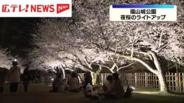 広島・福山城公園で夜桜のライトアップ