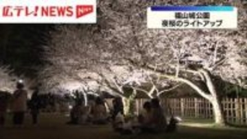 広島・福山城公園で夜桜のライトアップ