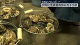 「不漁に負けず…生産者直営のカキ小屋オープン　広島・呉市」の画像1