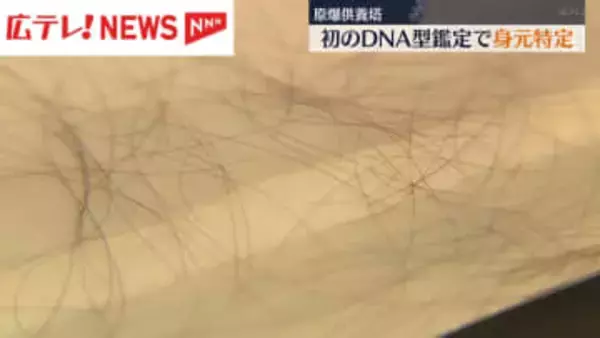 広島・原爆供養塔の遺骨　遺髪のDNA鑑定で身元特定