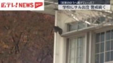広島市中心部の学校にサル出没　校舎を壁伝いに走る姿も「民家のほうへ逃げていった」
