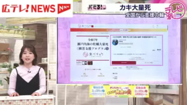 【バミる！】瀬戸内海でカキが大量死…カキ業者の現状とは