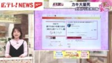 【バミる！】瀬戸内海でカキが大量死…カキ業者の現状とは